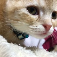 サムリン97 (@samring97) 's Twitter Profile