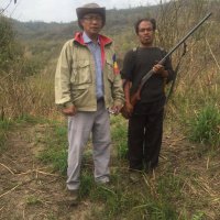 W L Hangshing (@hangshingl) 's Twitter Profile