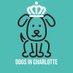 Dogs In Charlotte (@dogsincharlotte) Twitter profile photo Dogs In Charlotte (@dogsincharlotte) Twitter profile photo