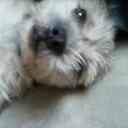 Jennifer Collazo - @JennyCollazo - Twitter