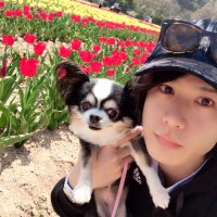 上杉 輝【TOKYO流星群】 (@teru_uesugi_tym) 's Twitter Profile Photo