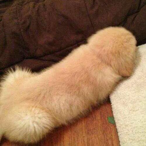 ShineBr93339961's profile picture. Follow dulu baru kita ngobrol 😘
Gak punya WhatsApp
NO BASA-BASI 😎