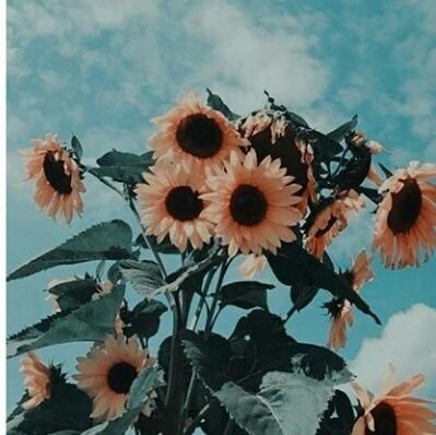 farisrosli076's profile picture. 