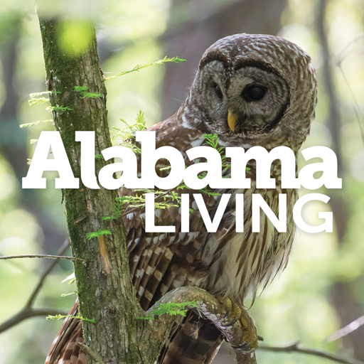 Award-winning Alabama Living is the official statewide publication of the electric cooperatives in Alabama and the largest magazine of its type in the state.