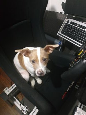 brum brum brum si echa humo hace ruido y tiene volante seguro que me gusta