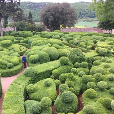 Profesora de Biología en IESNAPA F. Urabayen de adultos en Pamplona. Máster en TIC, colaboro #enlanubeTIC. Blog: https://t.co/a1tO1sT09R