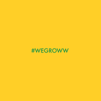 Groww Inc(@wegroww) 's Twitter Profile Photo