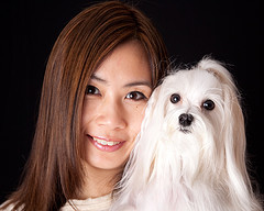 Master of project management, PMP, Calgary photographer, volunteer with therapy dog, dog fancier, especially love Maltese dogs & a foodie