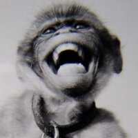 Muse Productions (@museproductions) 's Twitter Profile