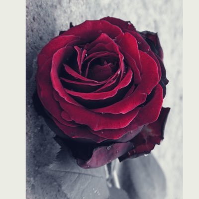 Dsea157's profile picture. 