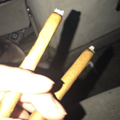 AlizVigil's profile picture. Northside Denver♎