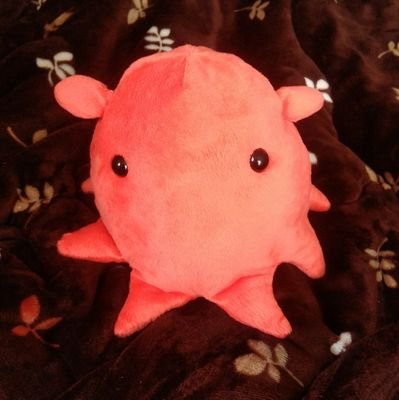 マスターで先生で旅人で車掌なゴースト兼EDF隊員