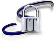 Your new Managed IT Department based in Laredo, Texas. Our goal for your business is to make technology work with a solution that is: Simple, Secure Successful!