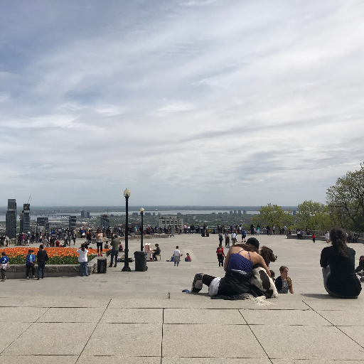 mltourillon's profile picture. 📲 Social media & influencer marketing - 🐶 lover - ✌️ and ❤️