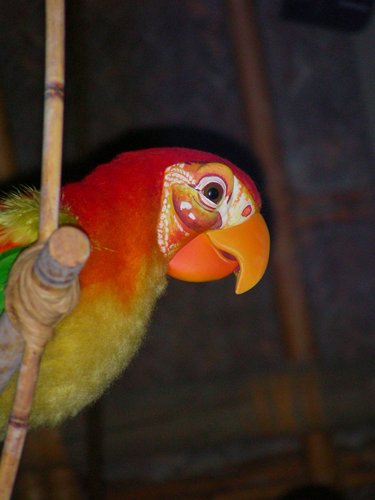 JoseTikiRoom's profile picture. 