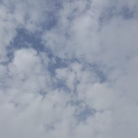 . (@rfrfrok) 's Twitter Profile