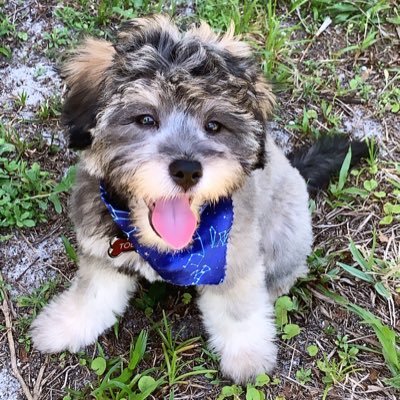 virginiagxo's profile picture. 