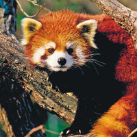 s k sarda sikkim (@sikkim1234) 's Twitter Profile Photo s k sarda sikkim (@sikkim1234) 's Twitter Profile Photo