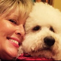 Stacie Neall (@sjneall) 's Twitter Profile