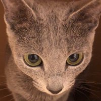 16パーソンでは建築家で鴎派なみっつあん (@sakamoto_ryouma) 's Twitter Profile Photo