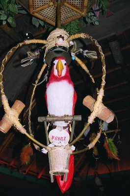 fritztikiroom's profile picture. 