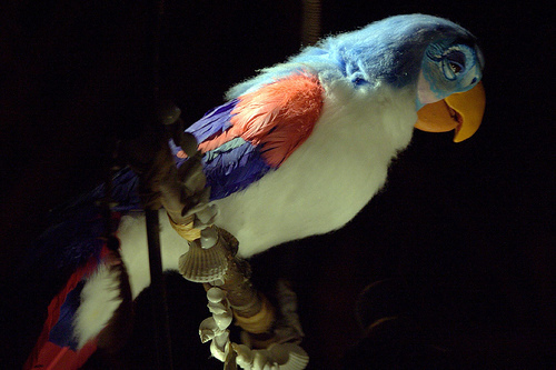 PierreTikiRoom's profile picture. 