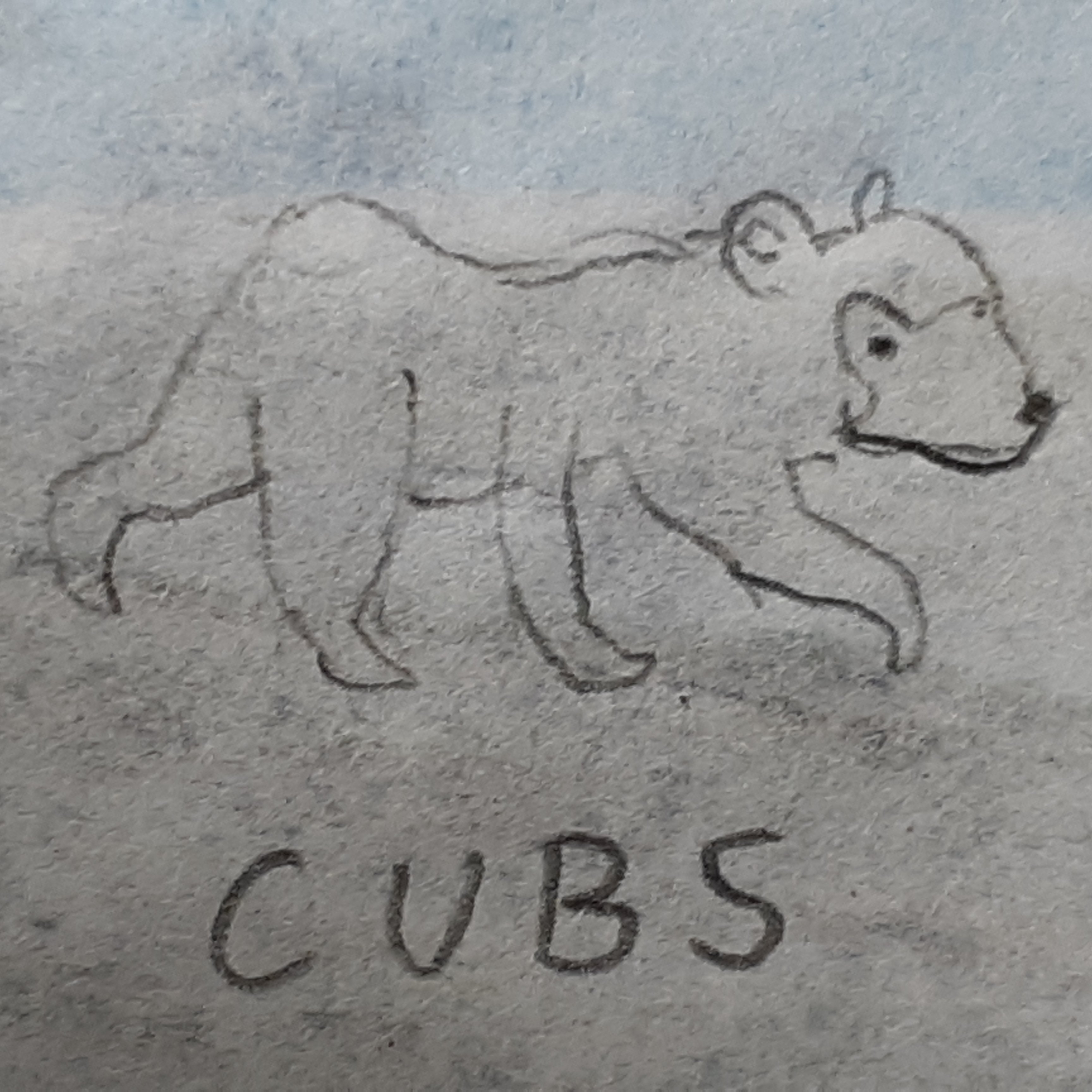 cubs