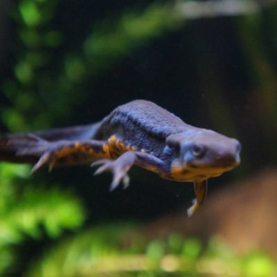 ERTcYjOFIwTj4YO's profile picture. 深谷です。元和光高校3-4。 現在は秋田で大学生してます。