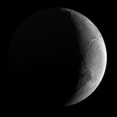 iammoon0's profile picture. Discover