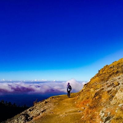 wiatsmara_'s profile picture. Tacenda