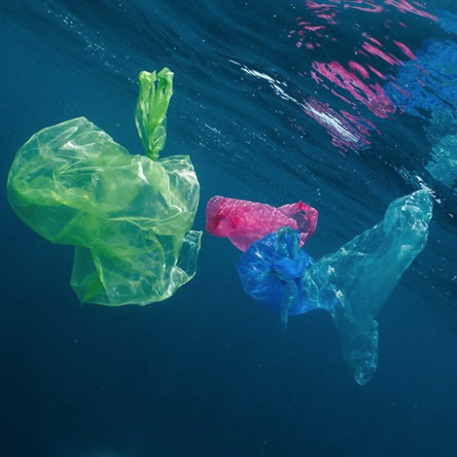 Save the Sea from Plastic and Bioplastic Wastes