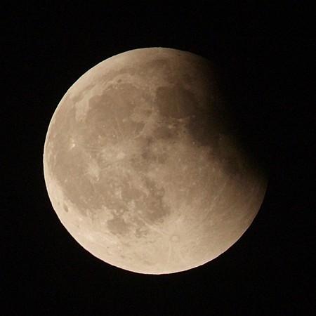 waterlandmoon's profile picture. 富士山麓で白磁を中心に制作しています。猫派（犬も好き）。十割蕎麦、自家製味噌には自信あり。