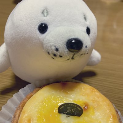猫の下僕として生きてます。偶に猫の小太郎さんが出てきます( ᷇ᵕ ᷆ )子猫のすずめ(2023.7.19生)を迎えました #日常#可愛い好き #偶に特撮#あざらし#初心者審神者#食べ物#猫飼いたい #猫の小太郎 #モンハン初心者#子猫のすずめ