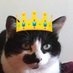 🎀Moumousse & Gros-Doudou 🦐🐾👑✨🍋⛄️🍺🦜🧼🐯🖤🧡 (@mrrraou) Twitter profile photo 🎀Moumousse & Gros-Doudou 🦐🐾👑✨🍋⛄️🍺🦜🧼🐯🖤🧡 (@mrrraou) Twitter profile photo