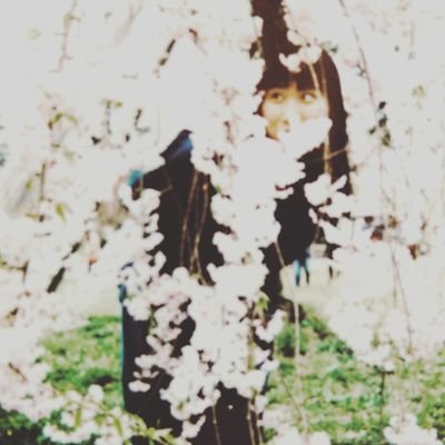 ナンクモさんのプロフィール画像