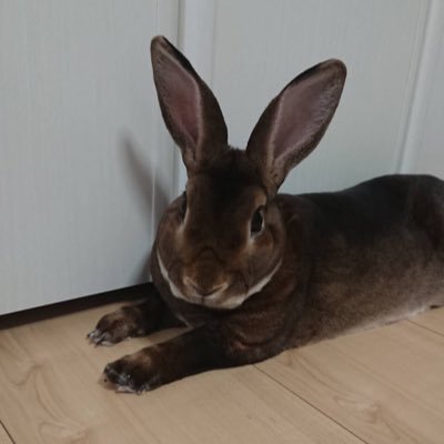 つりばさんのプロフィール画像