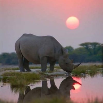 ck34rs's profile picture. 