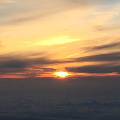 s_kupo's profile picture. フリーのアプリ開発屋。iOSアプリ開発をメインにやってます。登山やハイキングが好きです。