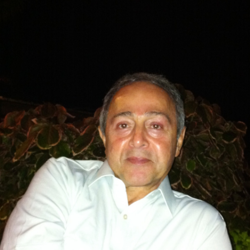 Reza Taghizadeh Profile