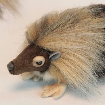 Wild Haggis 🏴 (@scots_haggi) / Twitter Wild Haggis 🏴 (@scots_haggi) / Twitter