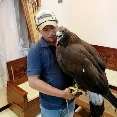 ade_tapo's profile picture. Perjuangan untuk Falconry Indonesia