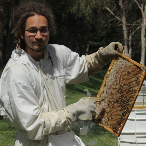 @TheotimeColin@ecoevo.social

Postdoc @mqnatsci working on honey bee health.