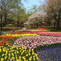 IIZUKA (@iizuka10) 's Twitter Profile