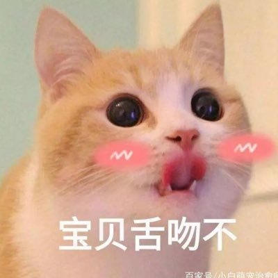 CrazyKevinCat's profile picture. 喜欢旅行。