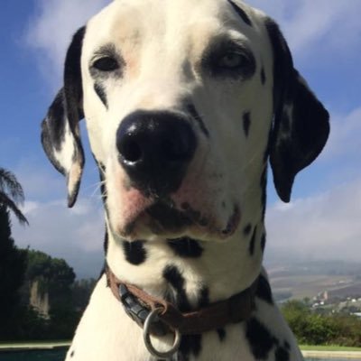 rakkers7's profile picture. #BeKind