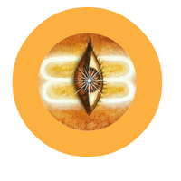 Observe Now (@now_observe) 's Twitter Profile