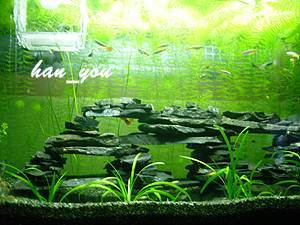 han_you's profile picture. 