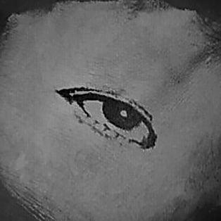 nekooni8901's profile picture. 元ロン毛のクズ