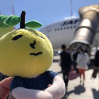ඊよぅこඊ (@yokoyuzupon) 's Twitter Profile