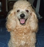 sumo9999's profile picture. 